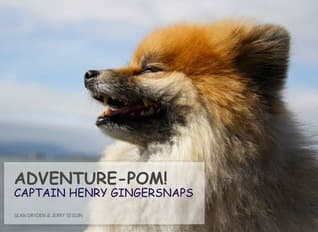 Adventure-Pom! book cover