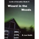 The Wizard in the Woods book cover