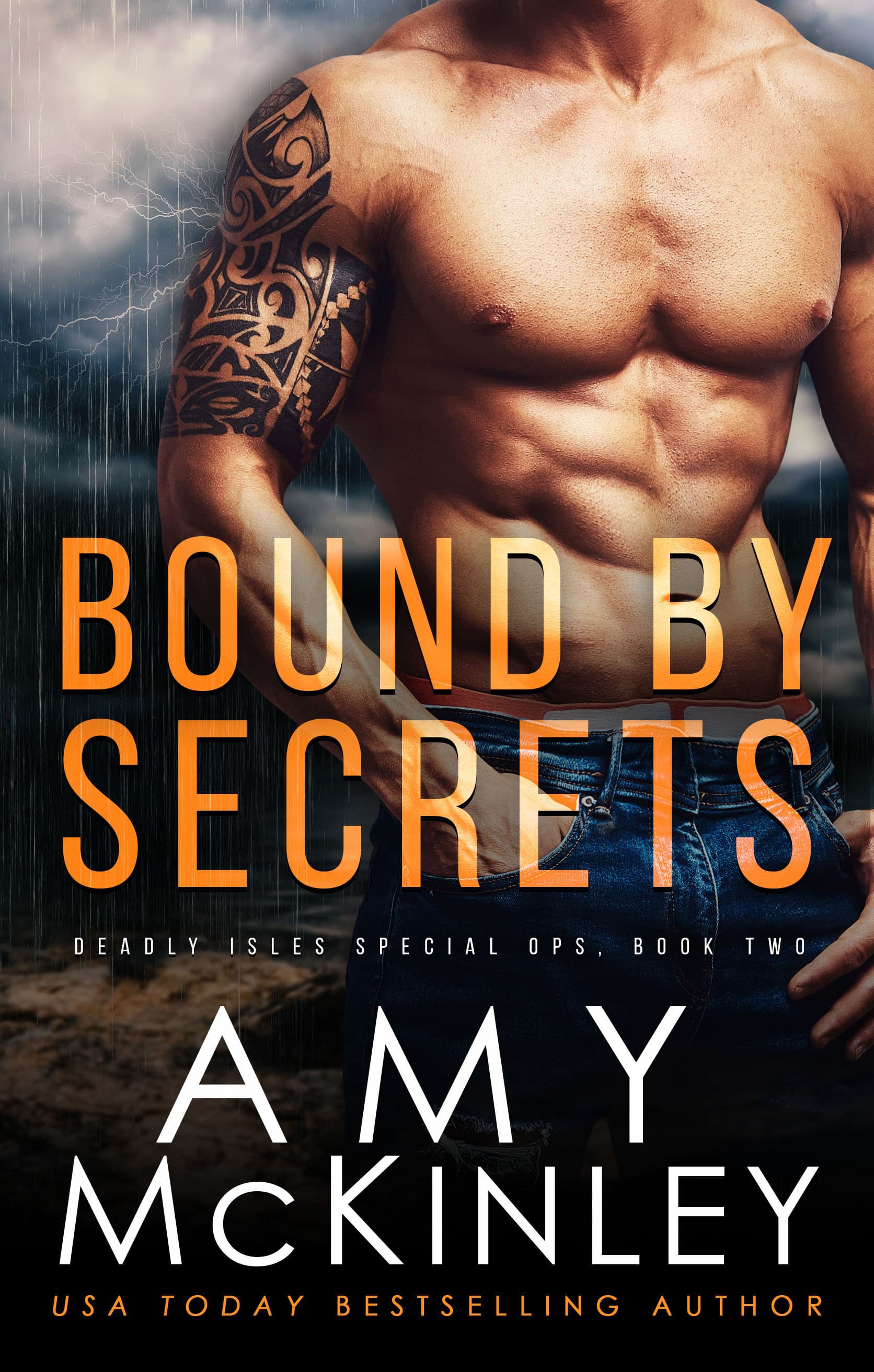 Bound by Secrets book cover