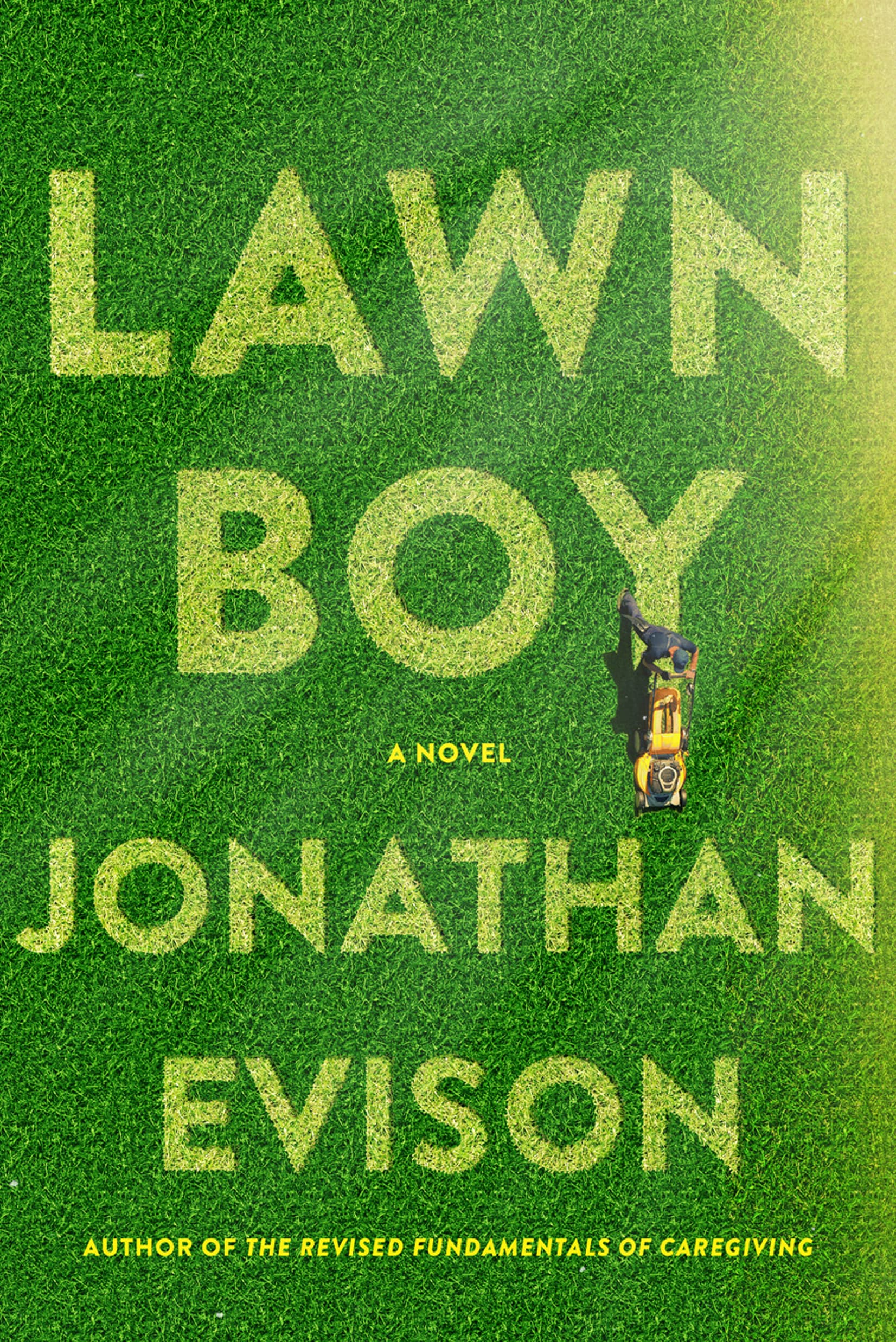 Lawn Boy book cover