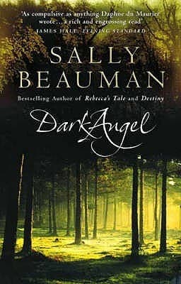 Dark Angel book cover