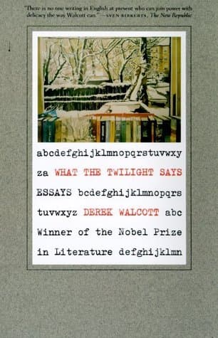 What the Twilight Says: Essays book cover