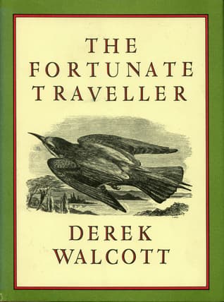 The Fortunate Traveller book cover