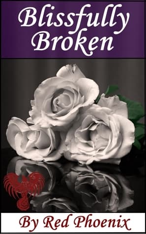 Blissfully Broken book cover