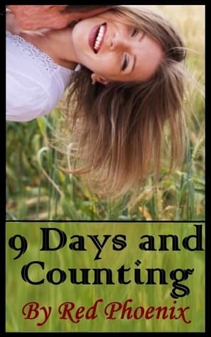 9 Days and Counting book cover