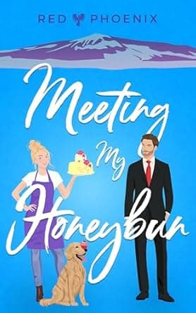 Meeting My Honeybun book cover