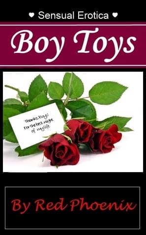 Boy Toys book cover