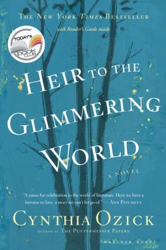 Heir To The Glimmering World book cover