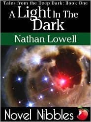 A Light in the Dark book cover