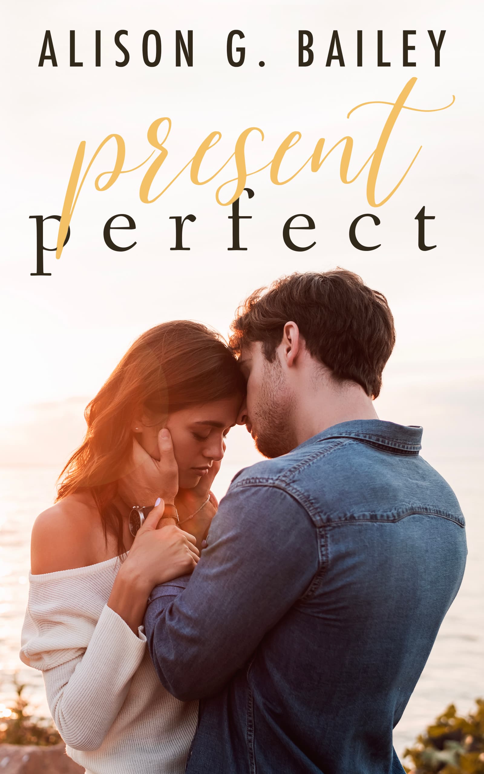 Present Perfect book cover