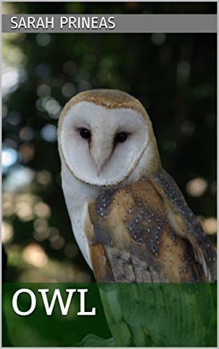 OWL: A Winterling story about Fer and Rook book cover