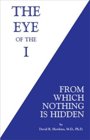 The Eye of the I: From Which Nothing Is Hidden book cover