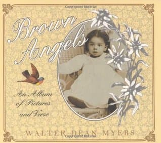 Brown Angels: An Album of Pictures and Verse book cover