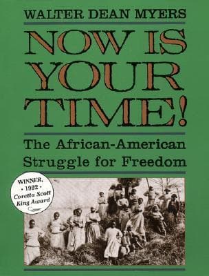 Now Is Your Time! The African-American Struggle for Freedom book cover
