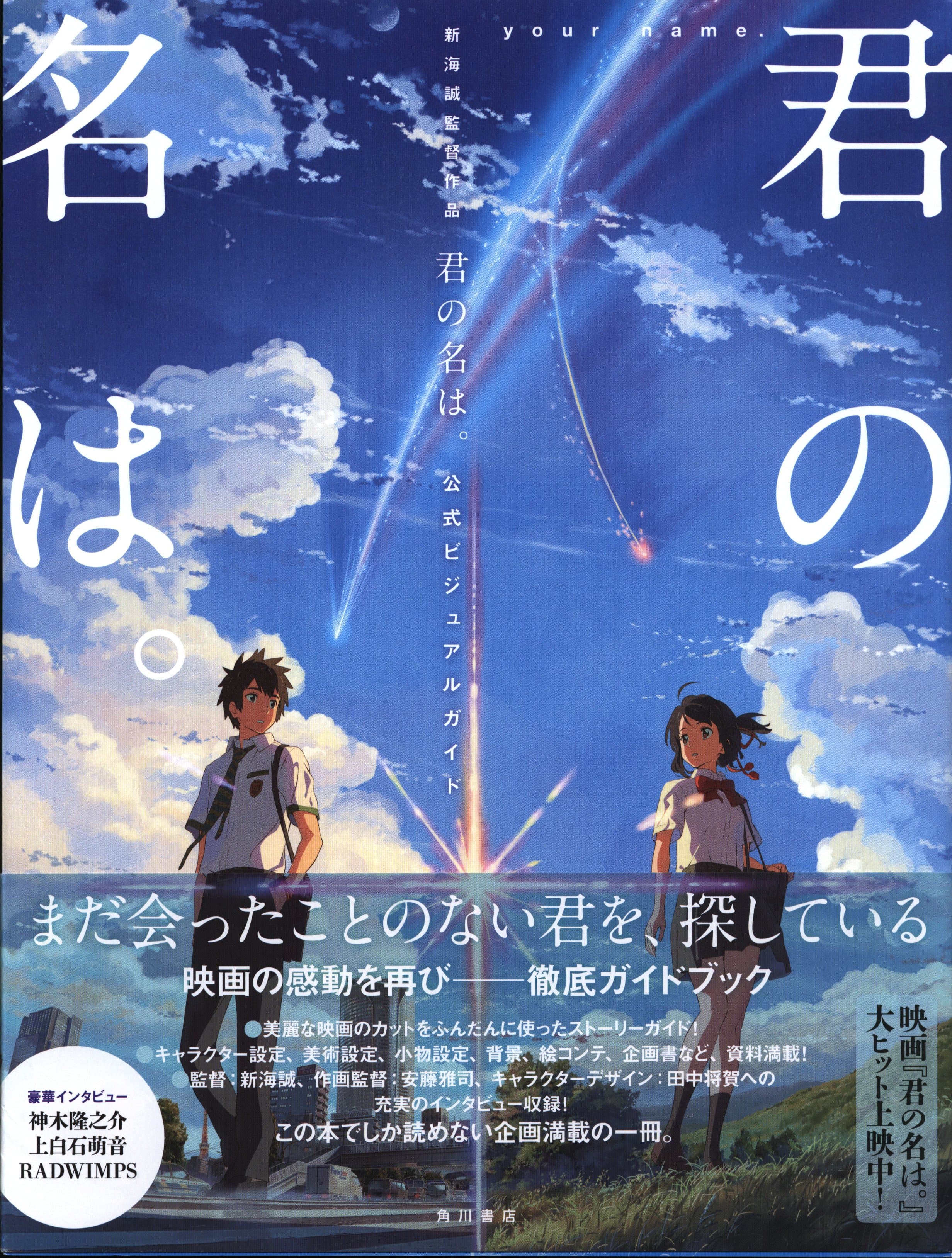 your name. The Official Visual Guide book cover