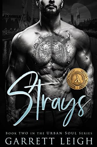 Strays book cover