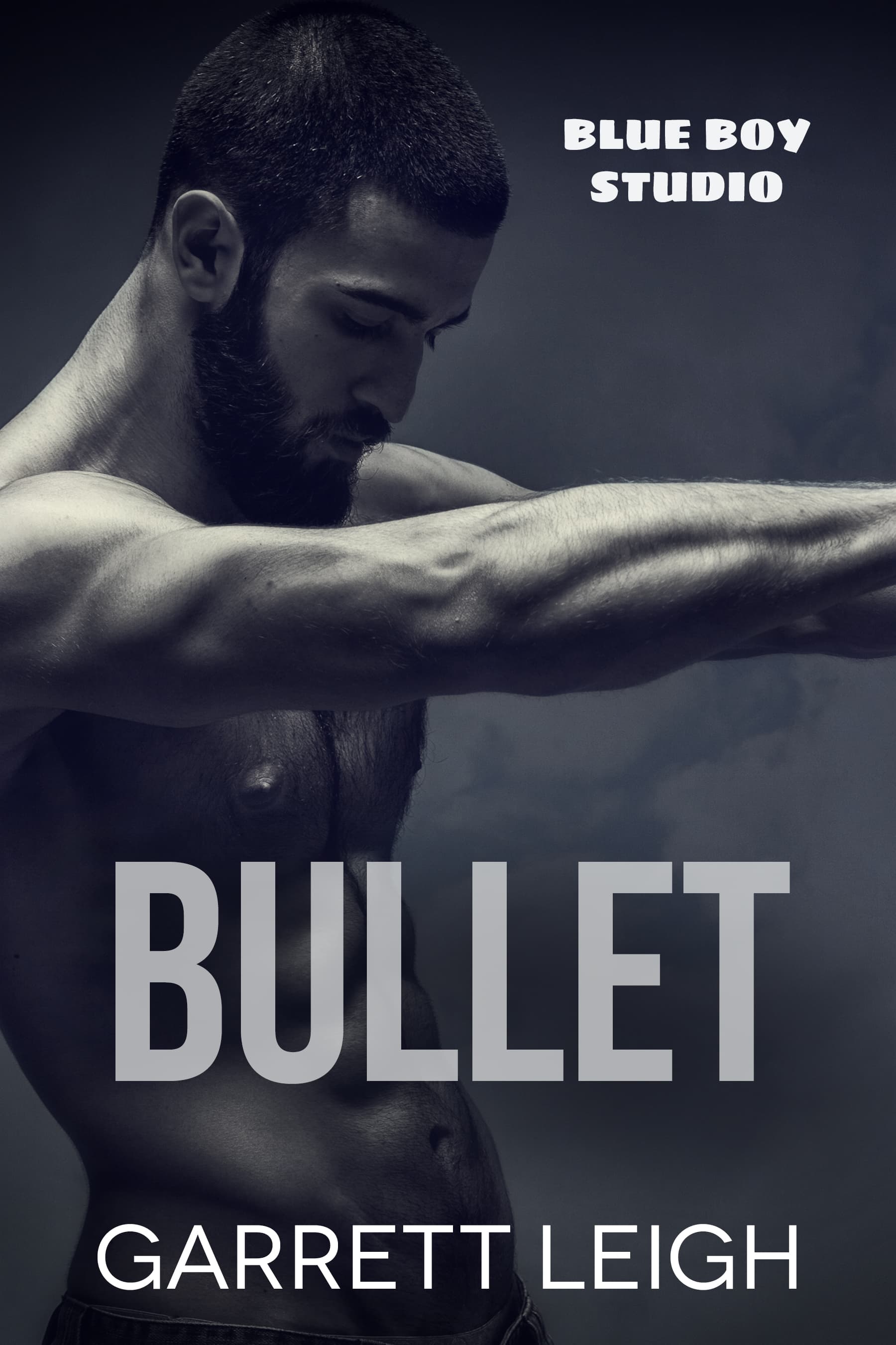 Bullet book cover