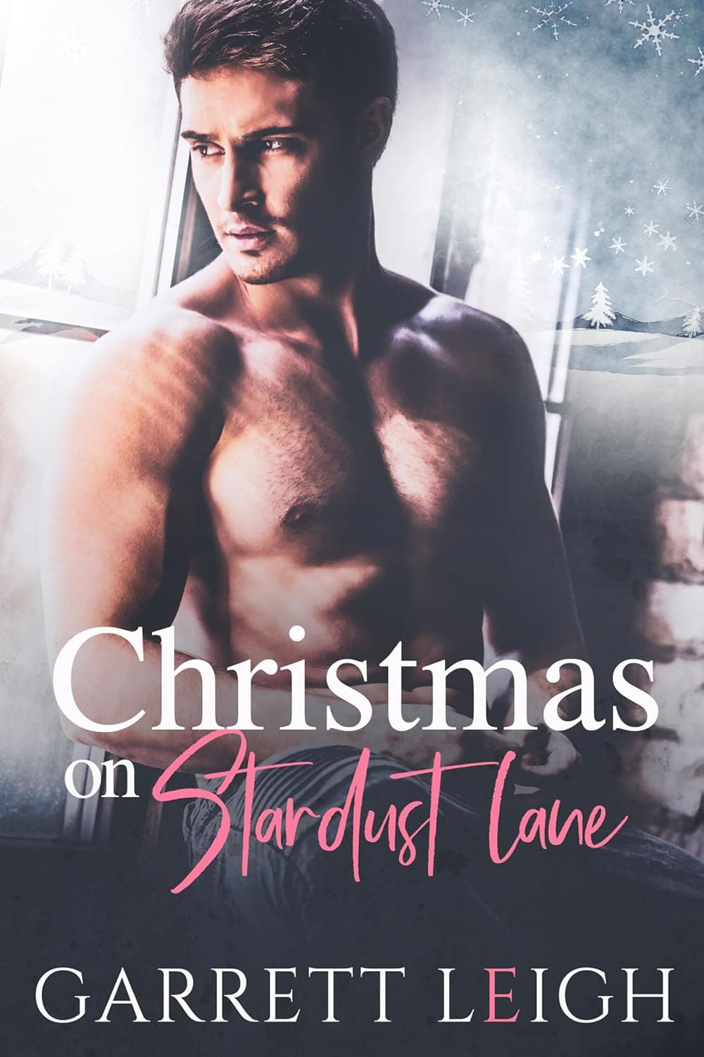 Christmas On Stardust Lane book cover