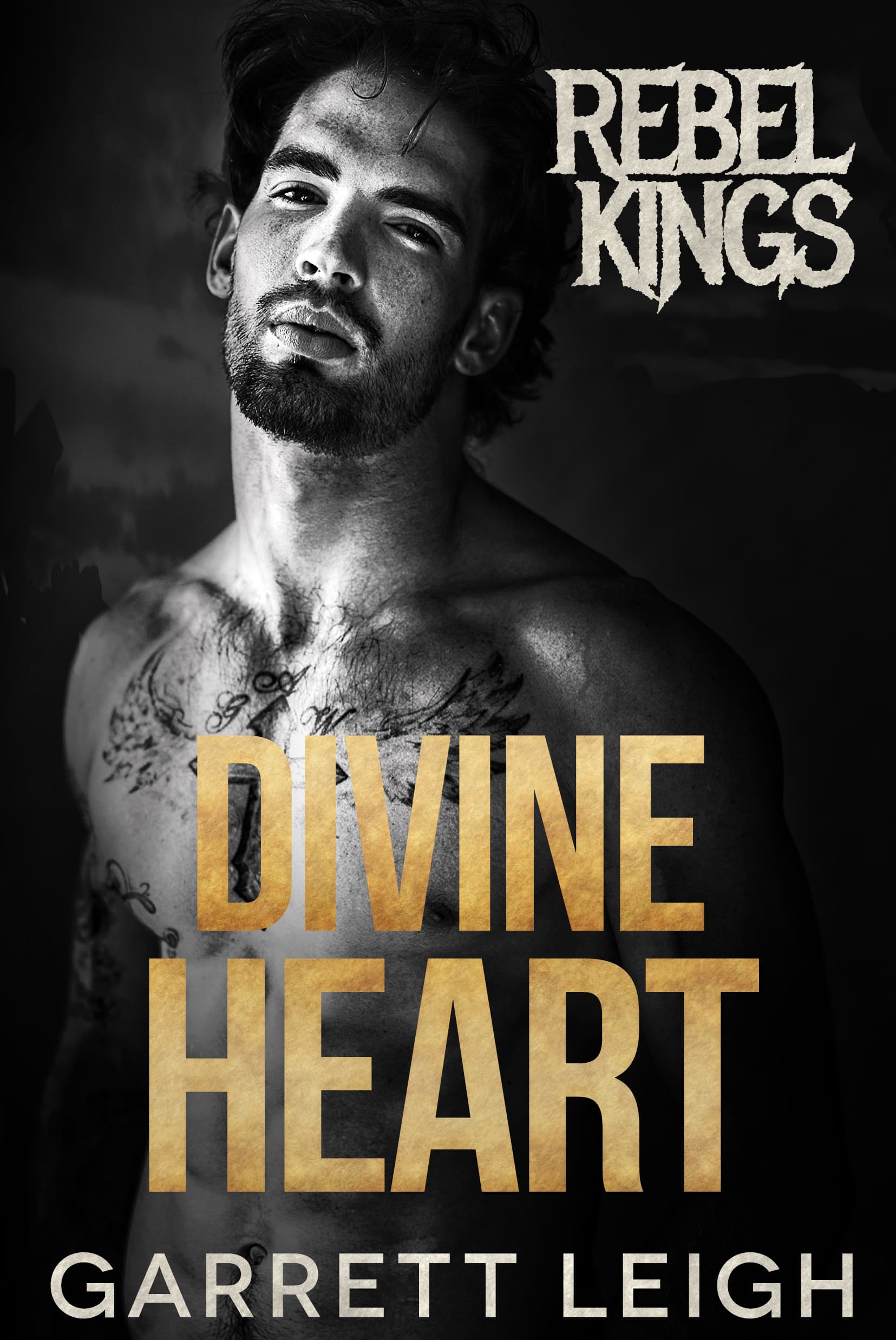 Divine Heart book cover