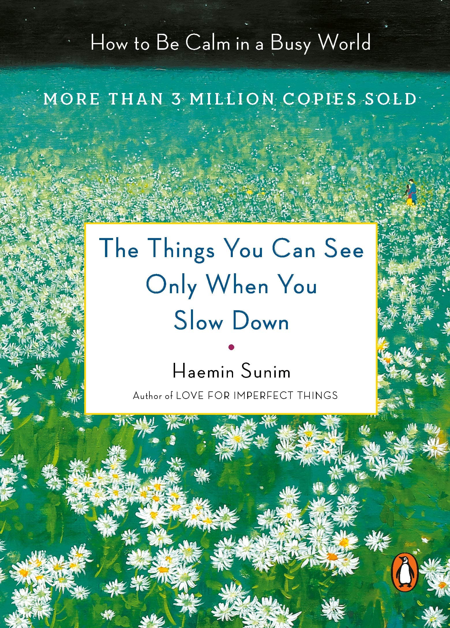 The Things You Can See Only When You Slow Down: How to Be Calm in a Busy World book cover