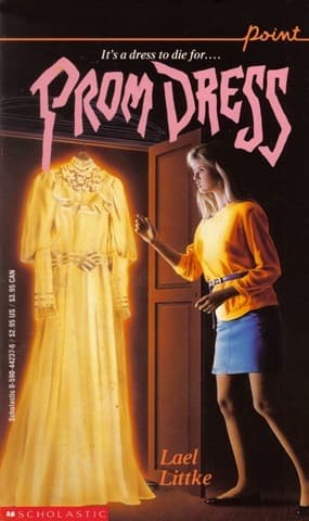 Prom Dress book cover