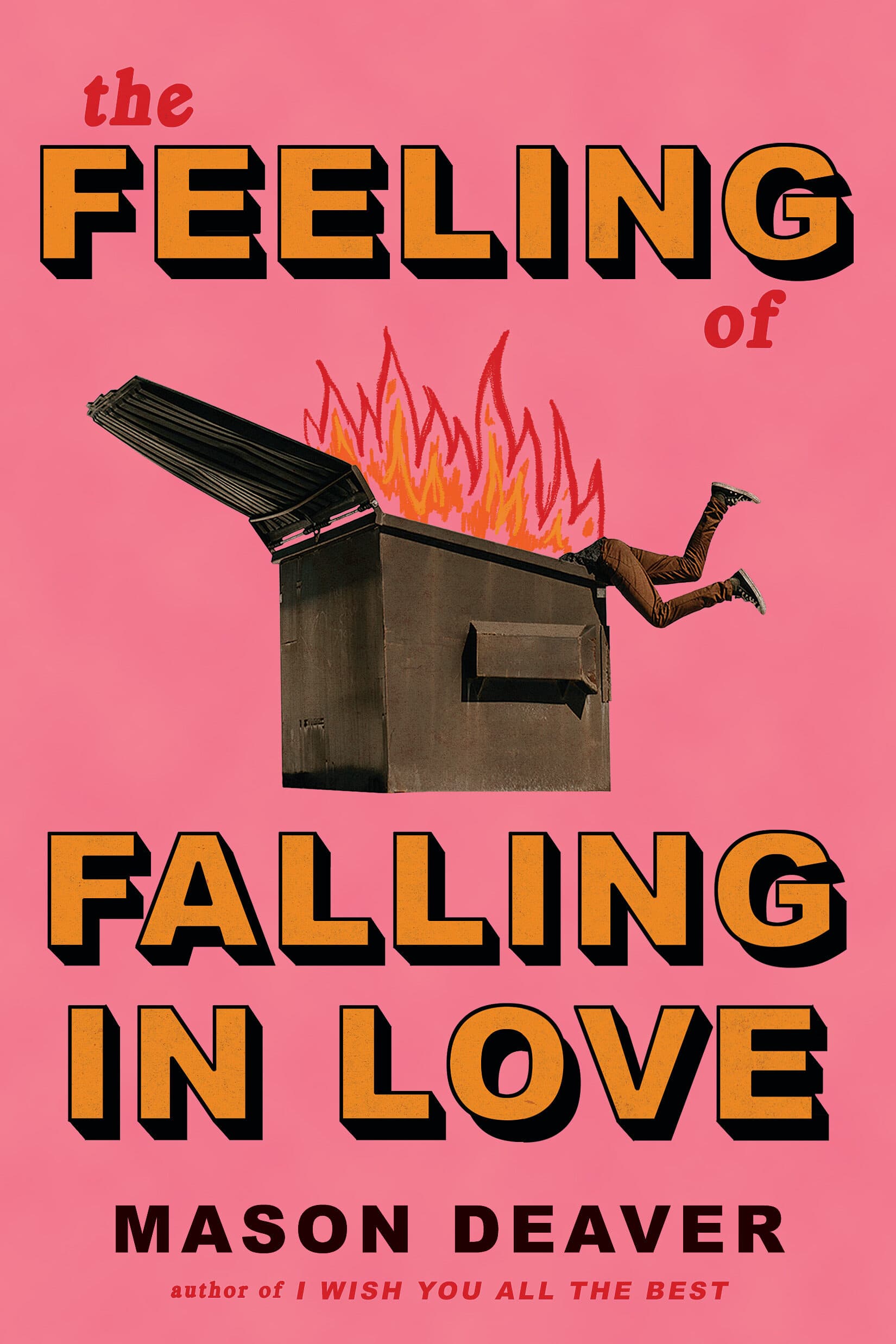 The Feeling of Falling in Love book cover