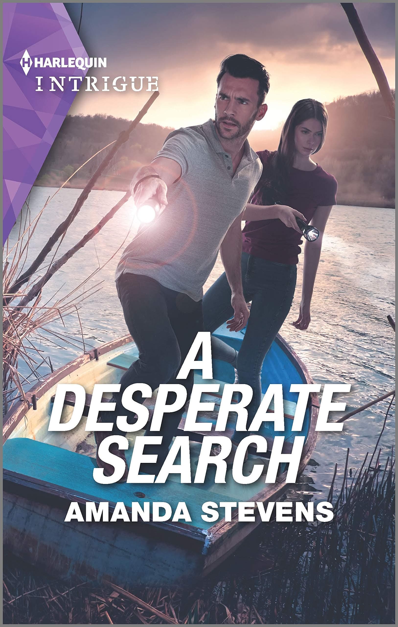A Desperate Search book cover