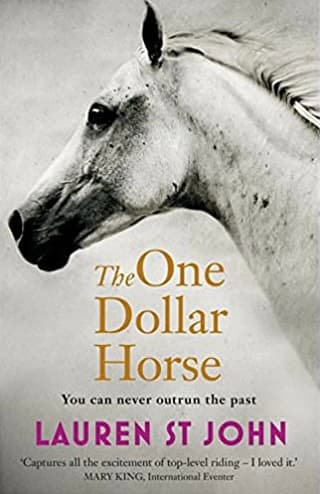 The One Dollar Horse book cover