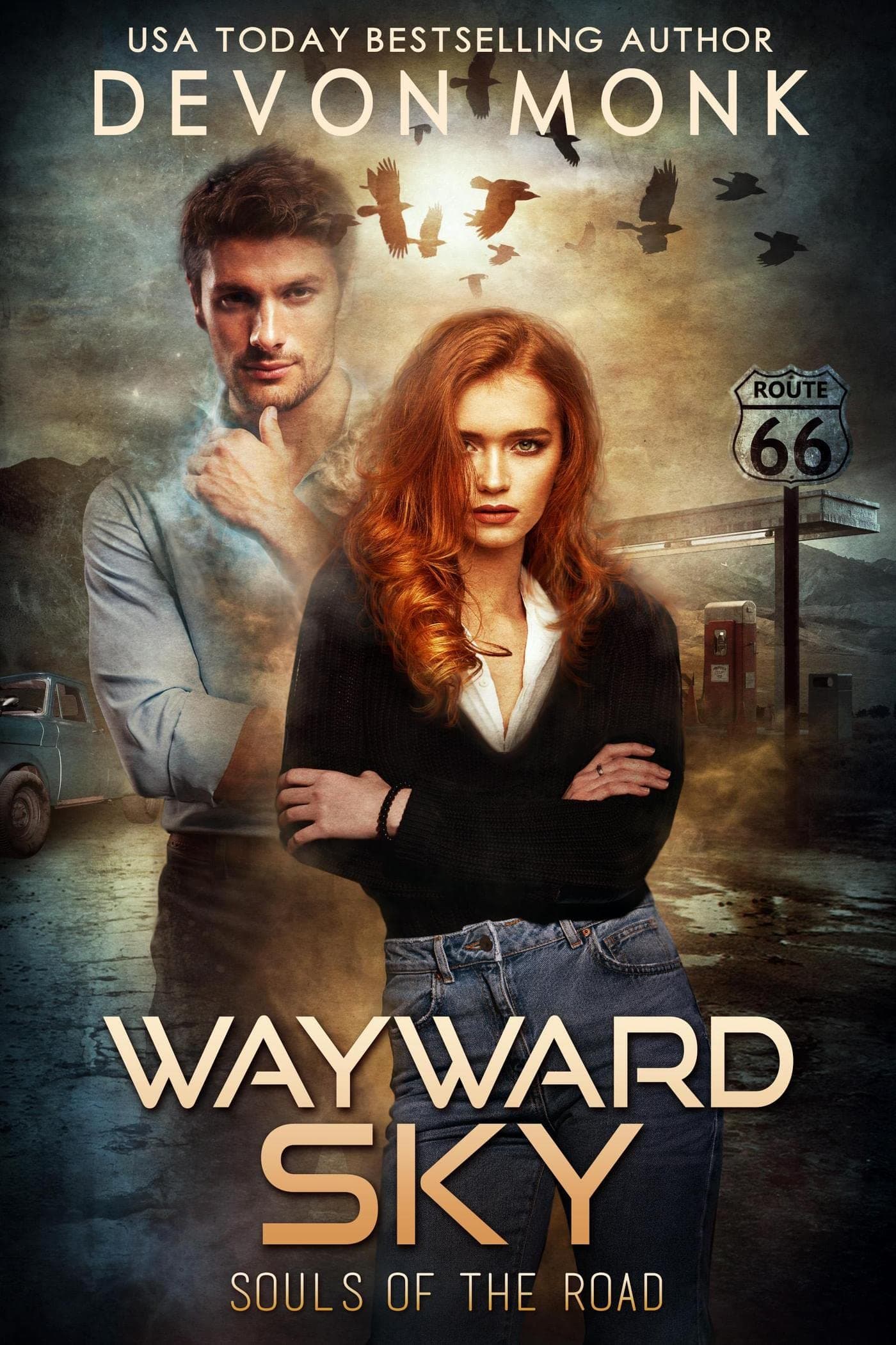 Wayward Sky book cover