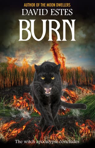 Burn book cover
