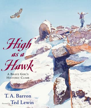 High as a Hawk book cover