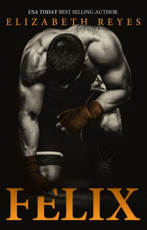 Felix book cover