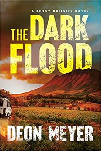 The Dark Flood book cover
