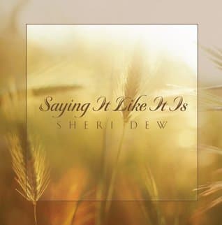 Saying It Like It Is book cover