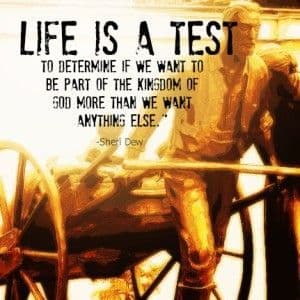 This Is a Test. It Is Only a Test. book cover