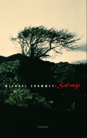 Salvage book cover