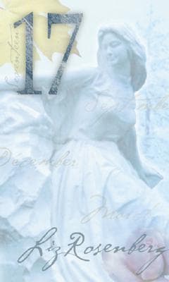 17 book cover