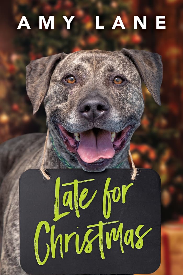 Late for Christmas book cover