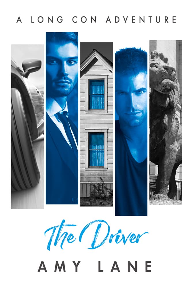The Driver book cover