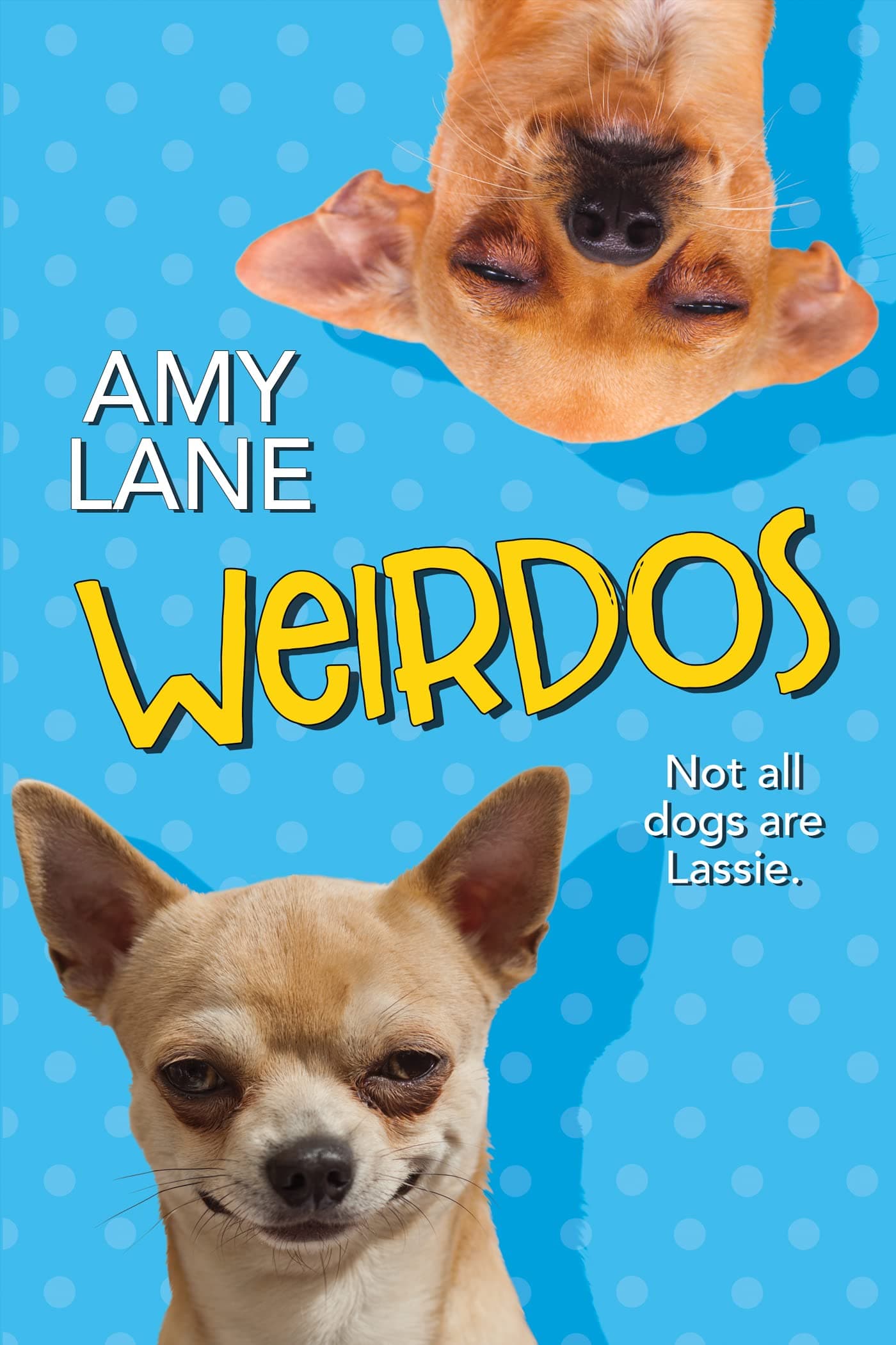 Weirdos book cover