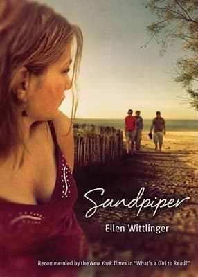 Sandpiper book cover