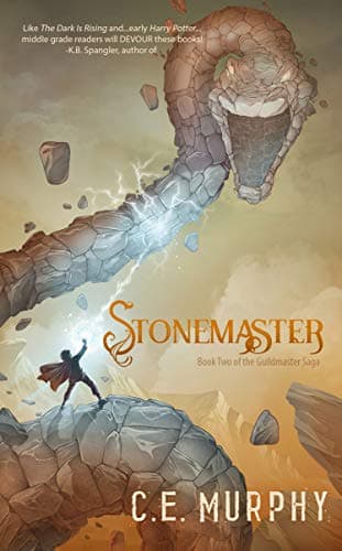 Stonemaster book cover