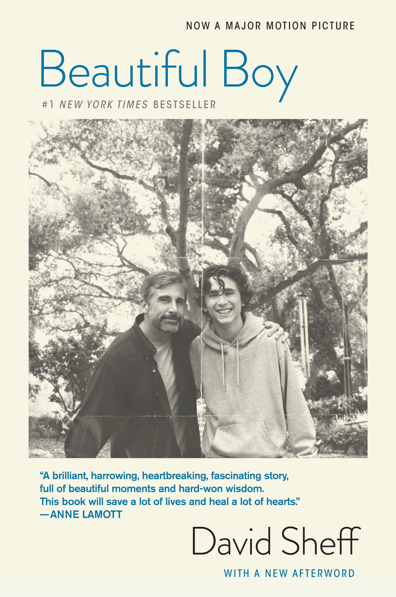 Beautiful Boy: A Father's Journey Through His Son's Addiction book cover