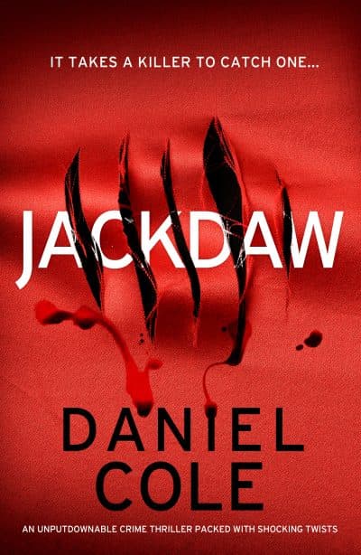 Jackdaw book cover