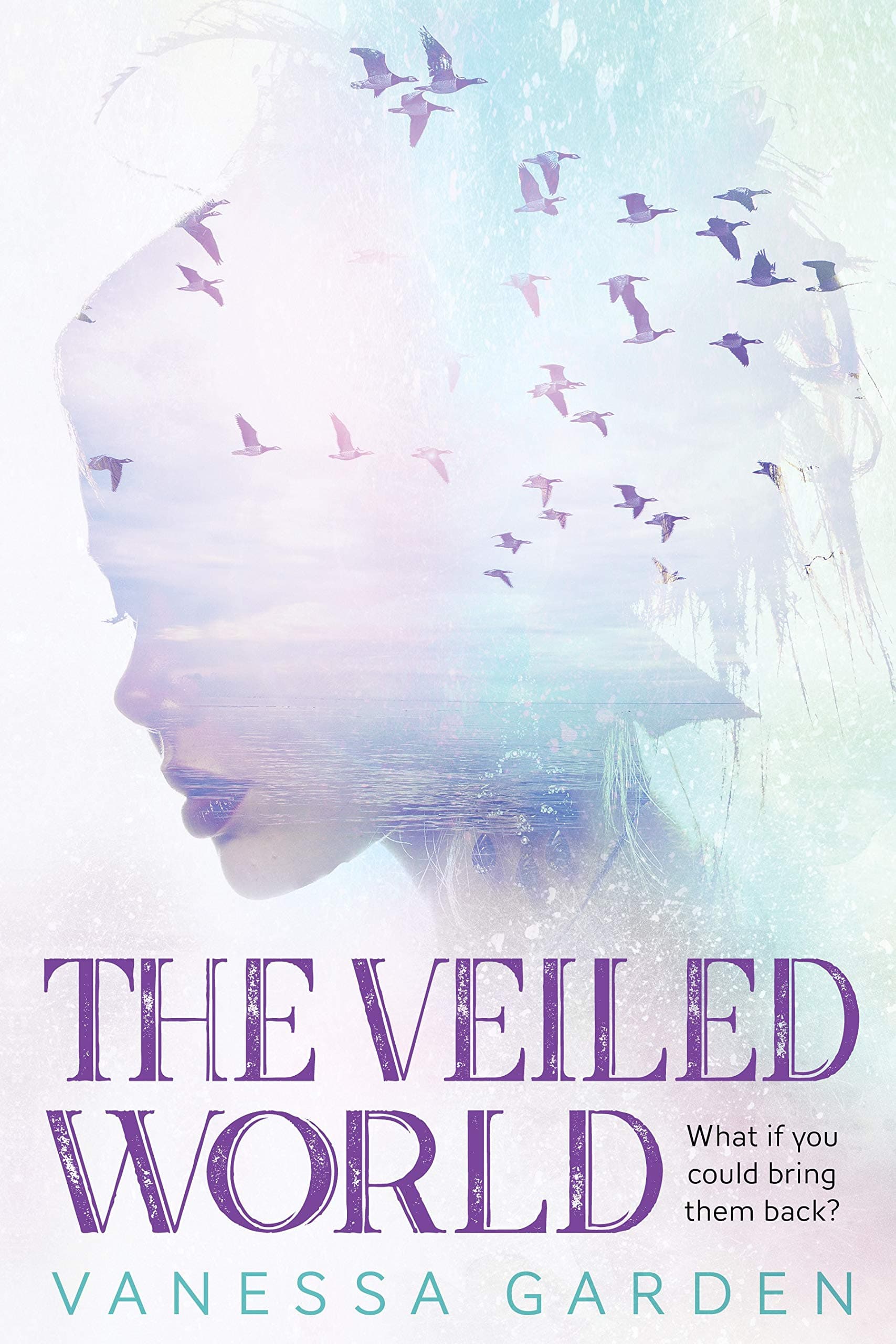The Veiled World book cover
