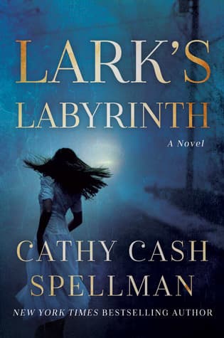 Lark's Labyrinth book cover