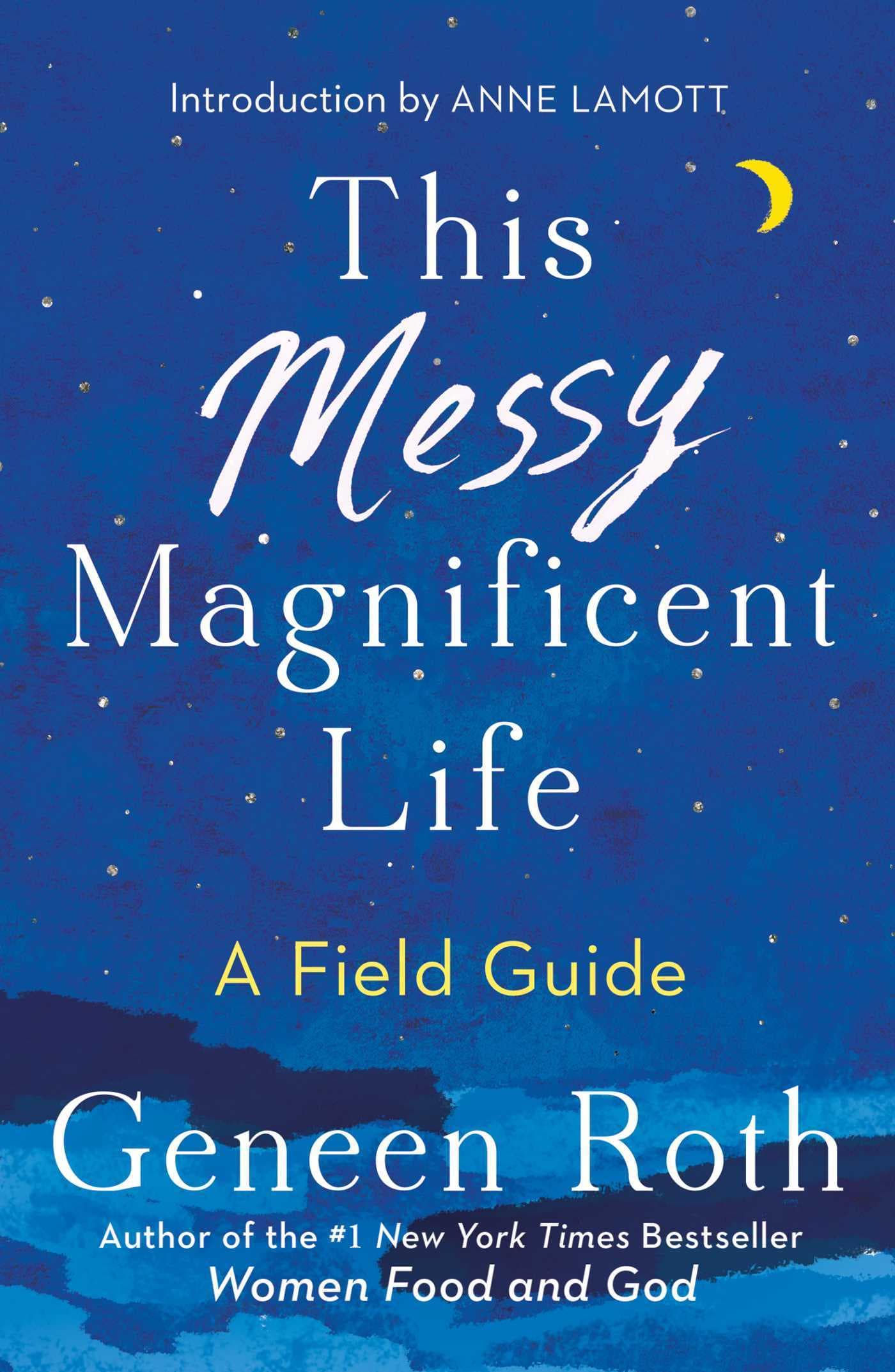 This Messy Magnificent Life: A Field Guide book cover