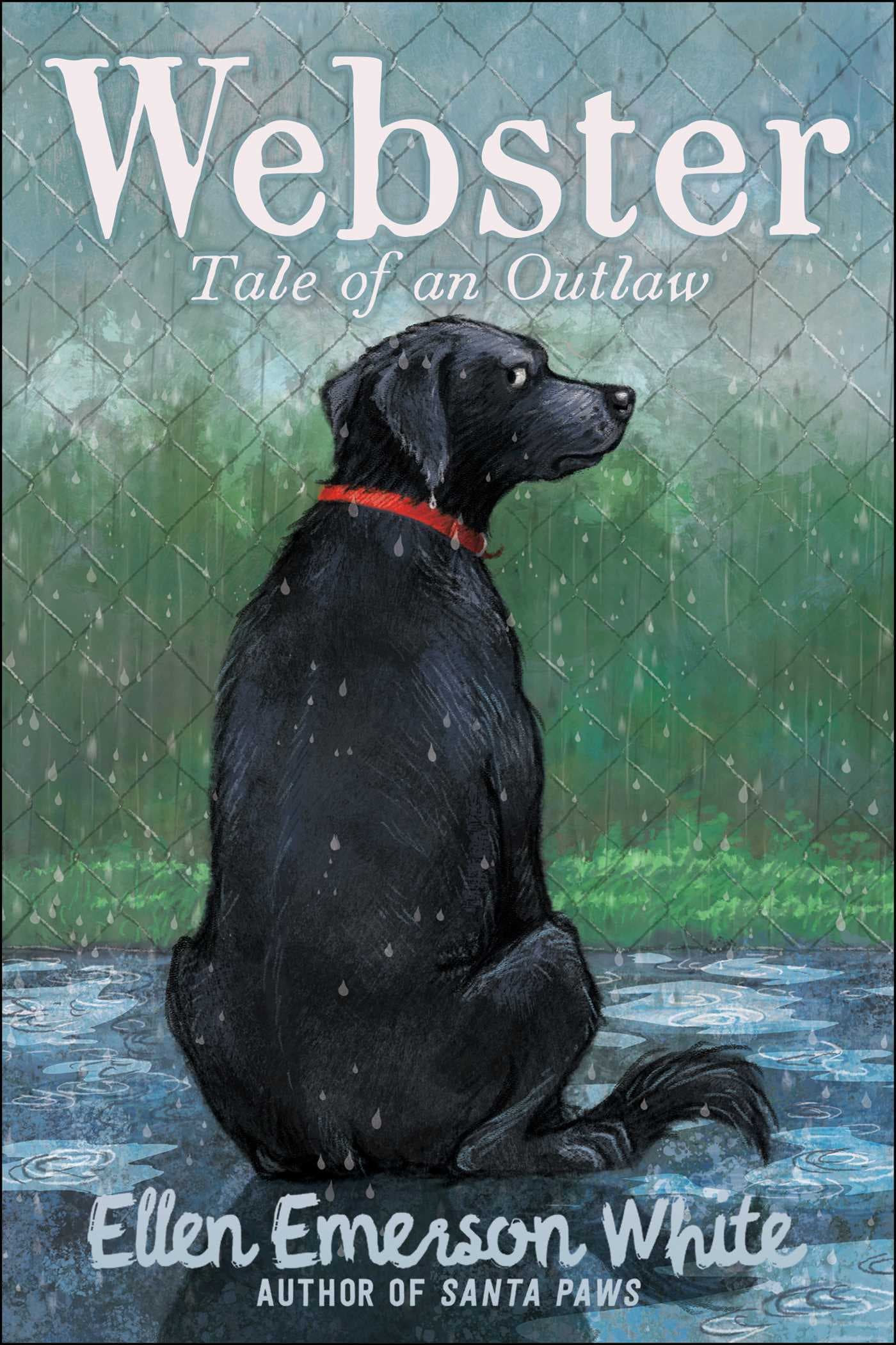 Webster: Tale of an Outlaw book cover
