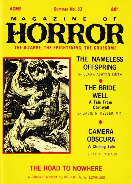 The Nameless Offspring book cover