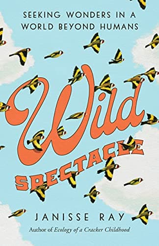 Wild Spectacle: Seeking Wonders in a World Beyond Humans book cover